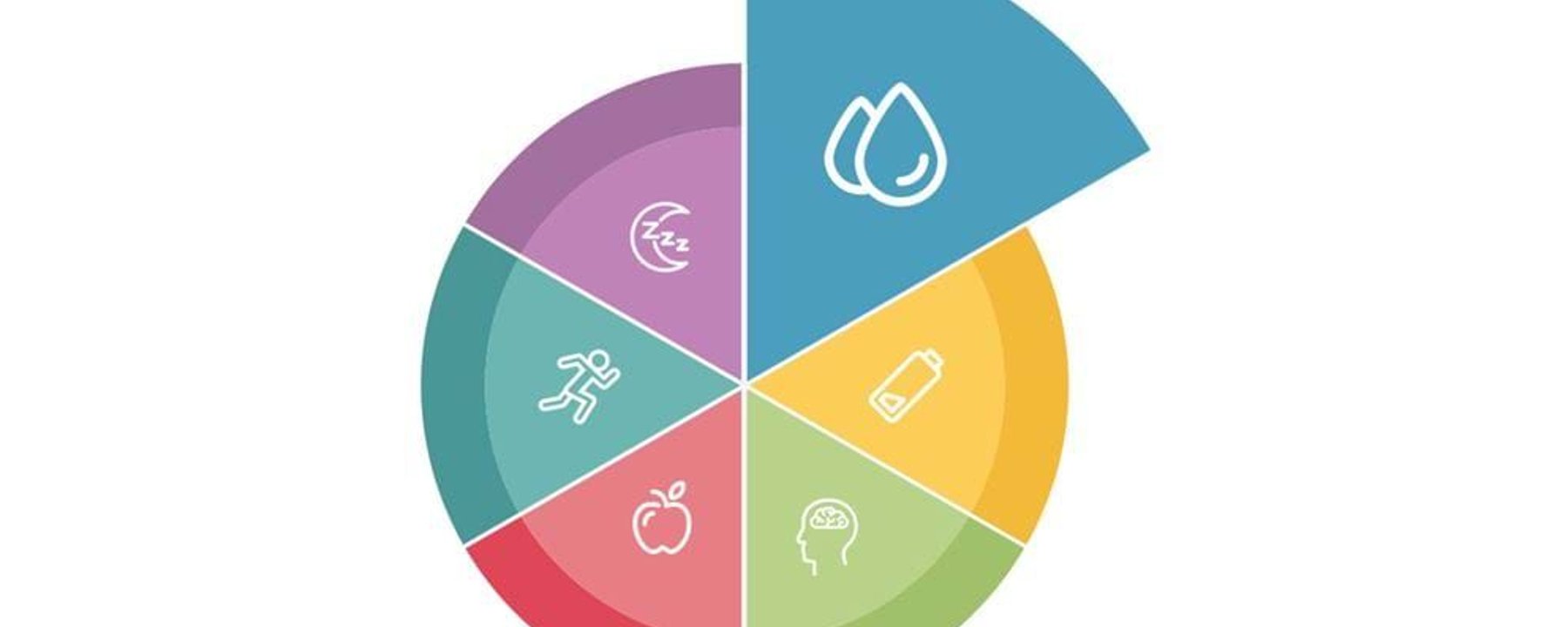 Circular chart with six coloured segments showing icons of water, battery, brain, apple, r