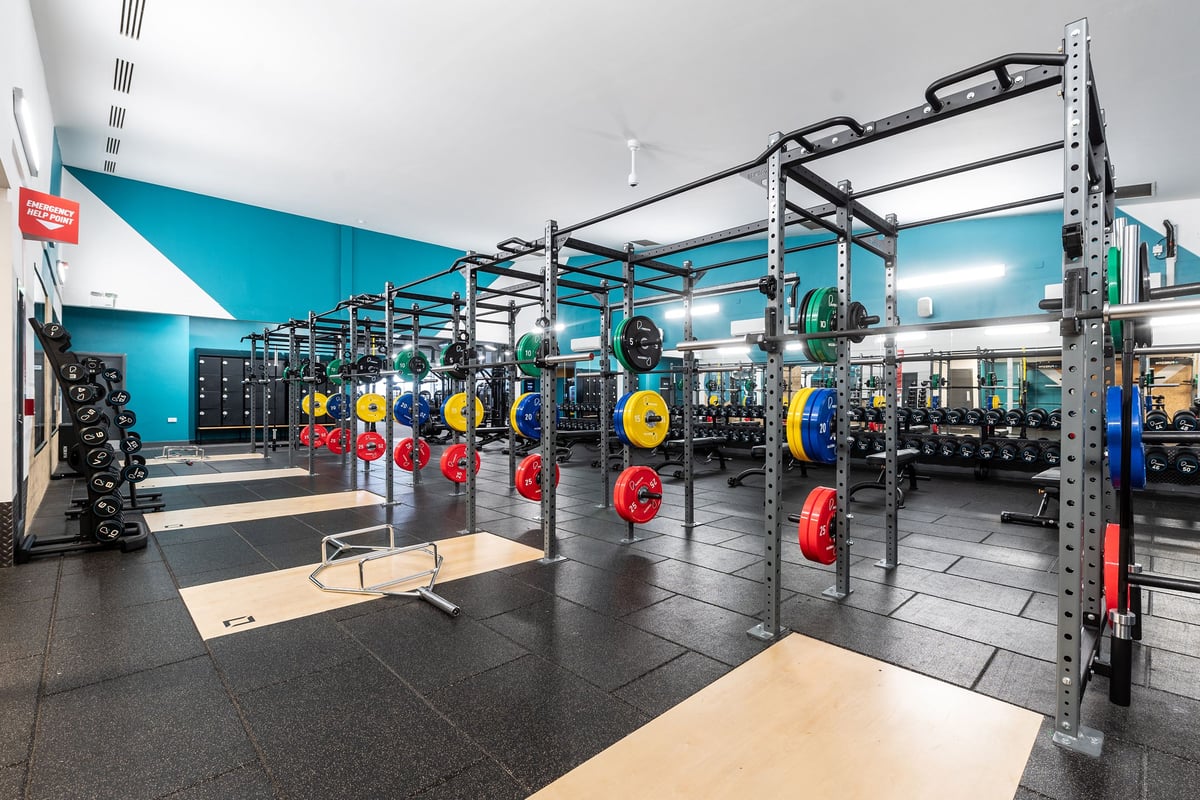 PureGym Loughborough: Rig of squat racks, weight plates in yellow and red hues, rubberized floors, mirrored walls.