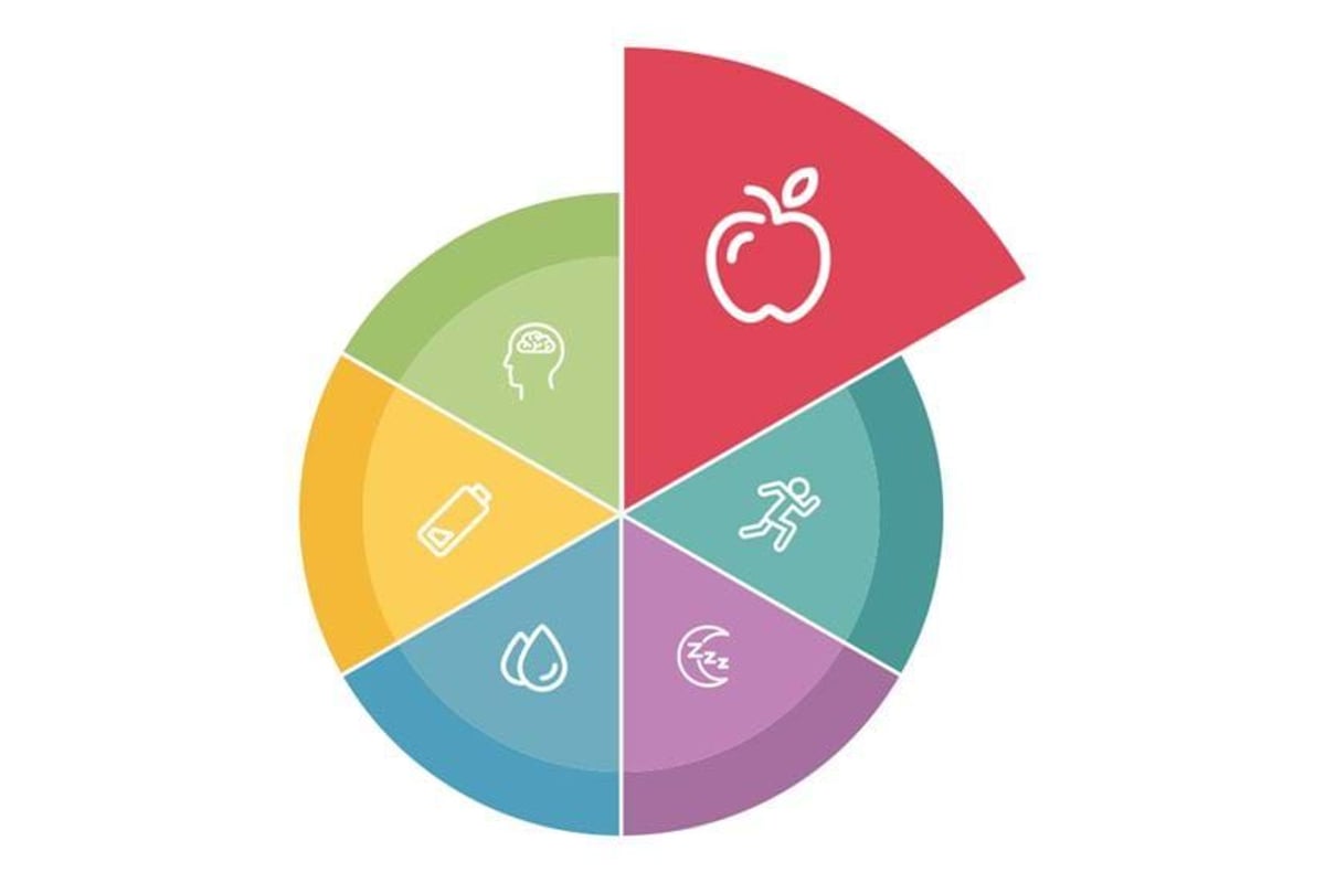 Colourful pie chart with icons of apple, running, sleep, water, battery, and brain