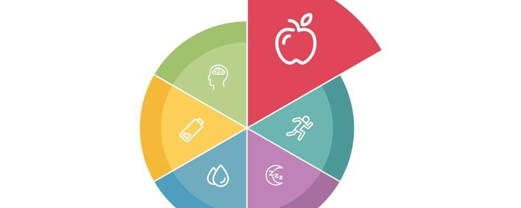 Colourful pie chart with icons of apple, running, sleep, water, battery, and brain
