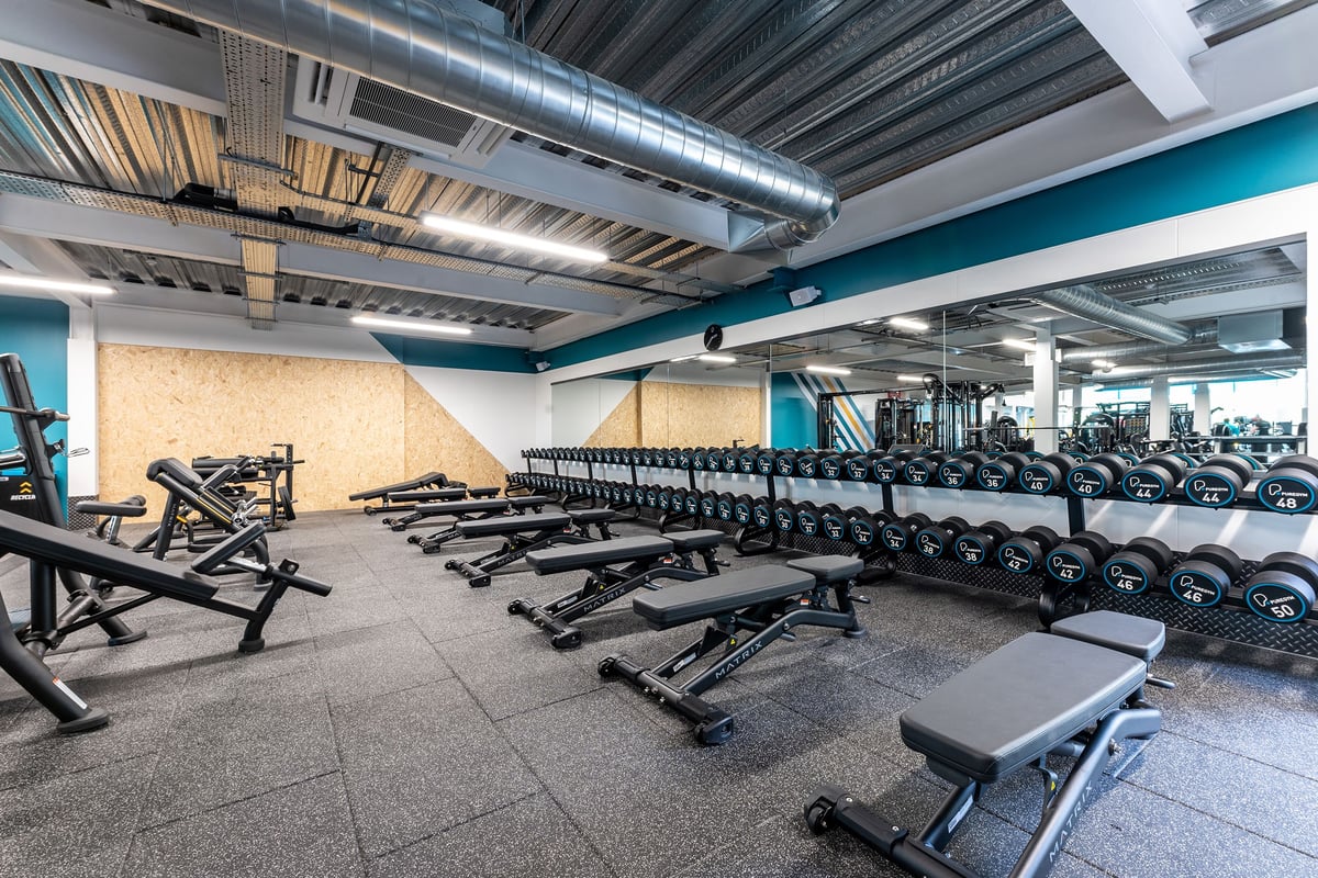 PureGym Coleraine: Rows of weight benches, dumbbell racks, and strength equipment on rubberized flooring.
