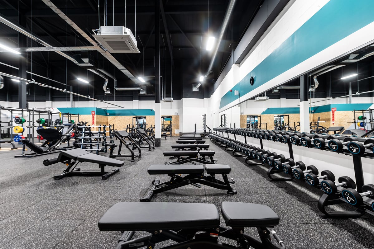 PureGym Stockton-on-tees Teesside Park: Rows of weight benches, squat racks, free weights, and rubberized flooring.