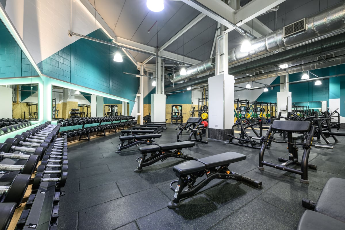 PureGym Aberdeen Shiprow dumbbells, benches and large mirror