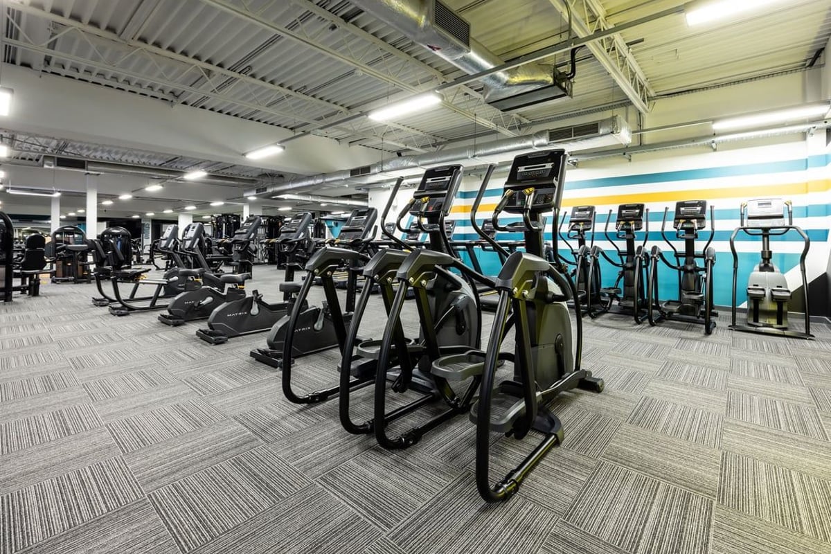 PureGym Motherwell: Rows of elliptical machines, treadmills, and stationary bikes in a brightly lit fitness centre.