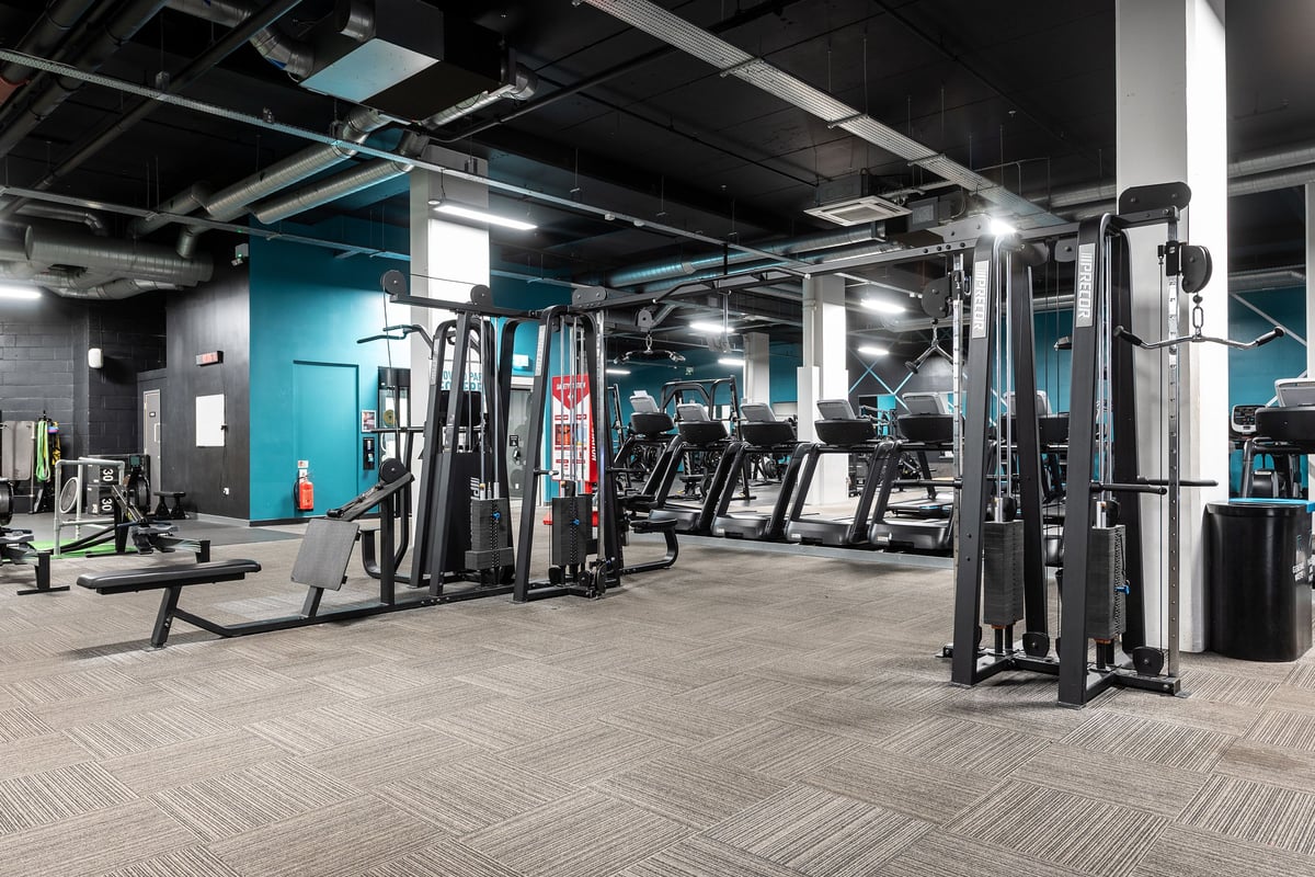 PureGym Norwich Castle Mall: Strength equipment, cardio machines, rubberized flooring, and accent walls.