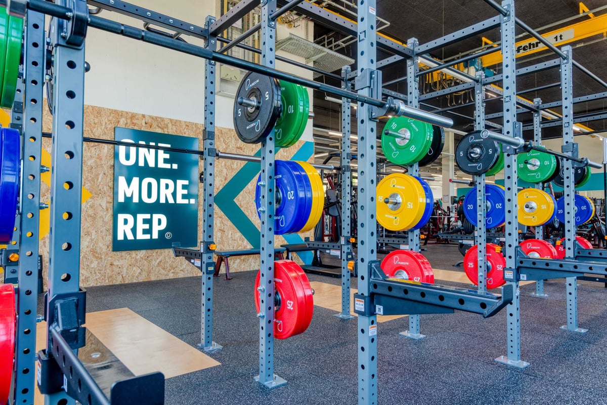 PureGym Horgen Rig training area