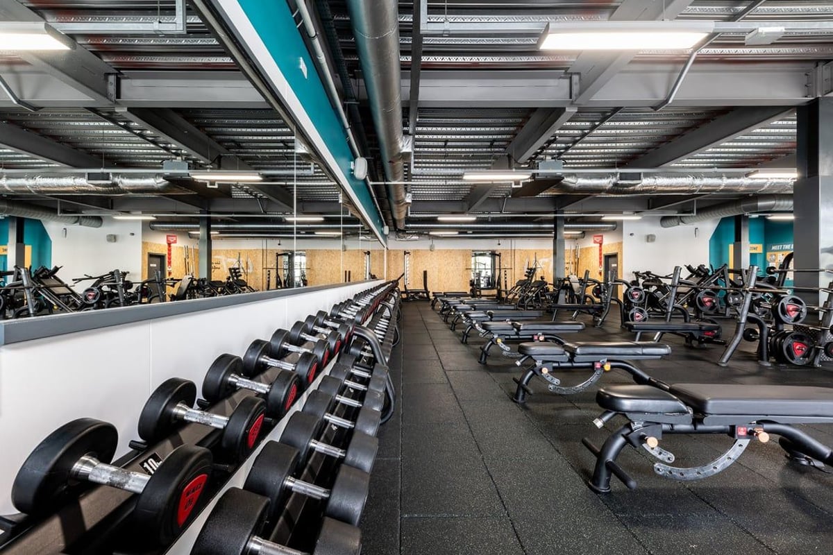PureGym Reading Basingstoke Road: Rows of dumbbells, benches, and workout equipment in a basement gym setting.