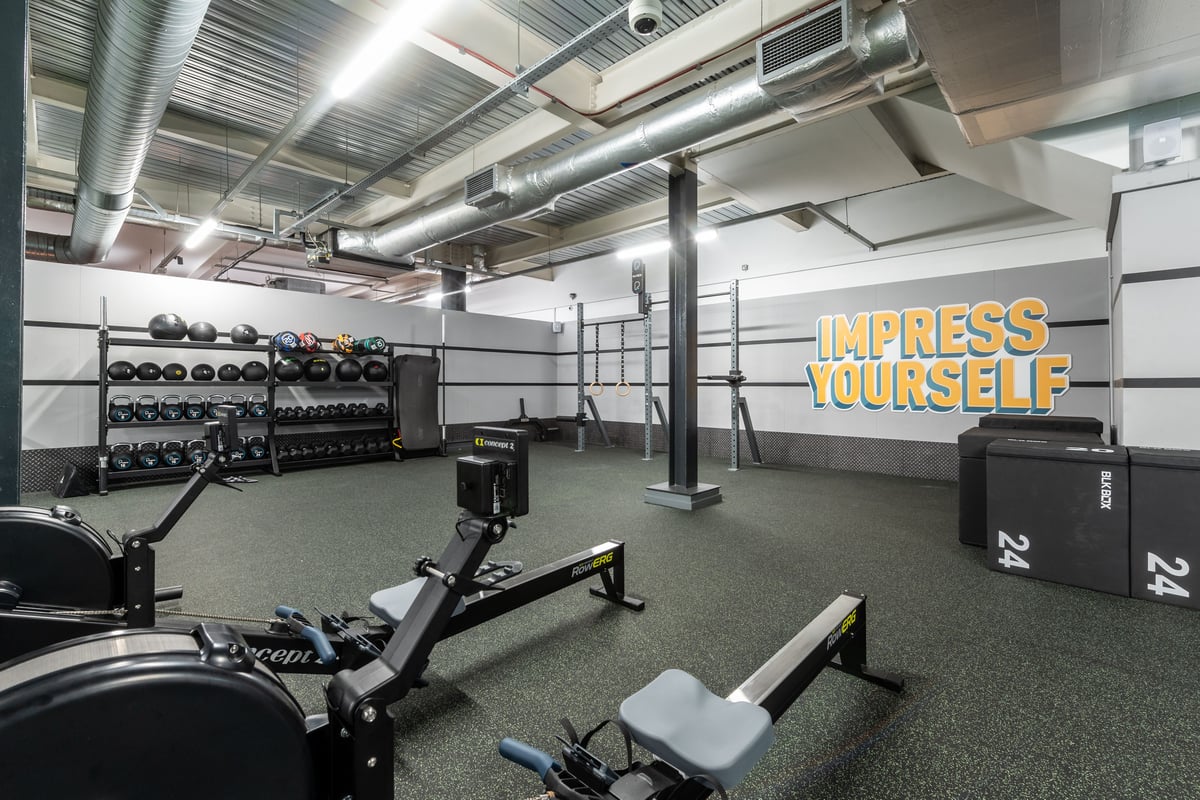 PureGym Harrogate: Weightlifting equipment, squat racks, rubberised flooring, dumbbell racks, motivational wall text.