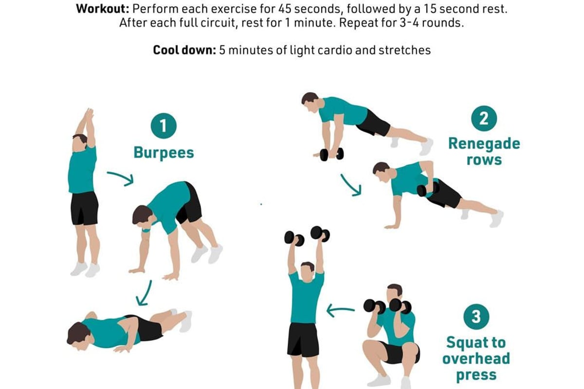full body muscle building hiit workout