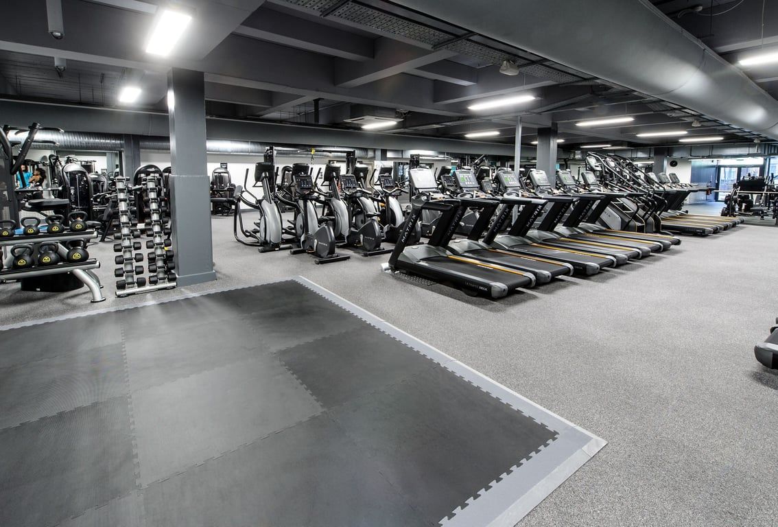 PureGym London Wembley: Rows of treadmills, exercise bikes, weight racks with dumbbells in a well-lit gym interior.