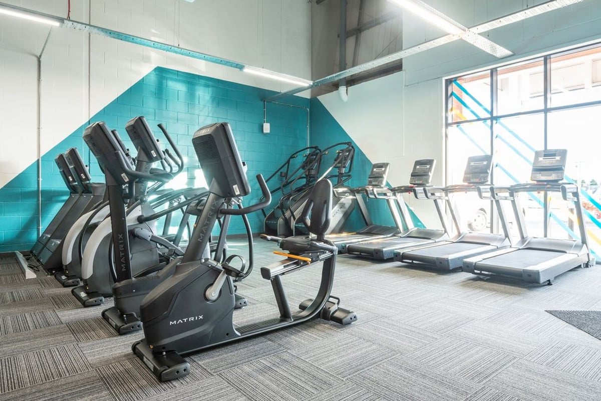 PureGym Lanark: Rows of exercise bikes, treadmills, and ellipticals in a bright gym space with teal walls.