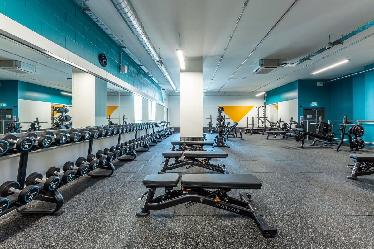 PureGym London Feltham: Rows of dumbbell racks, weight benches, and rubberized flooring in a teal-colored gym.