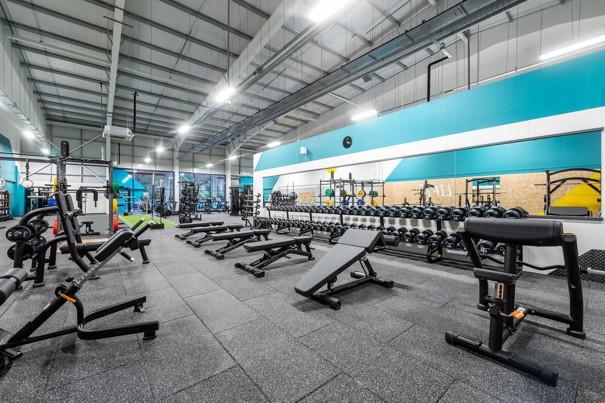 PureGym Alton: Rows of weight benches, dumbbells, and weightlifting stations in a large gym interior.