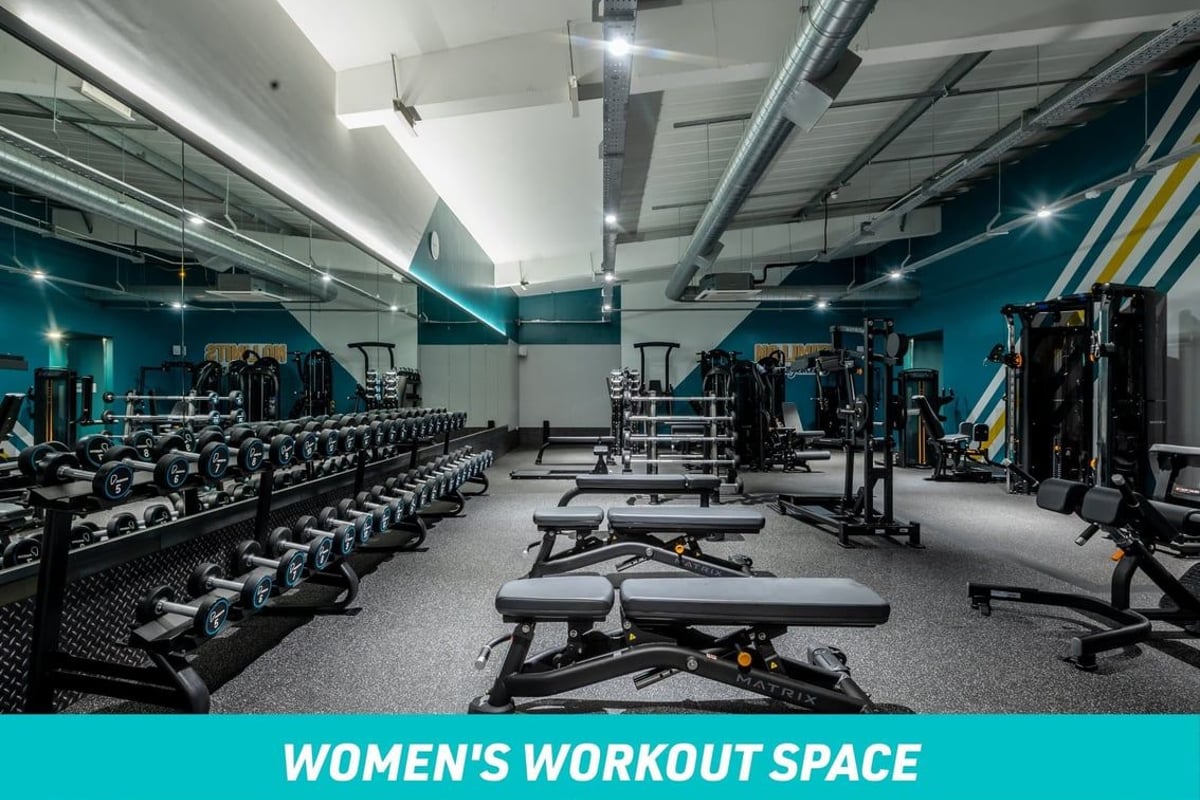 PureGym Torquay Women's Workout Space: row of dumbbells, benches and barbells