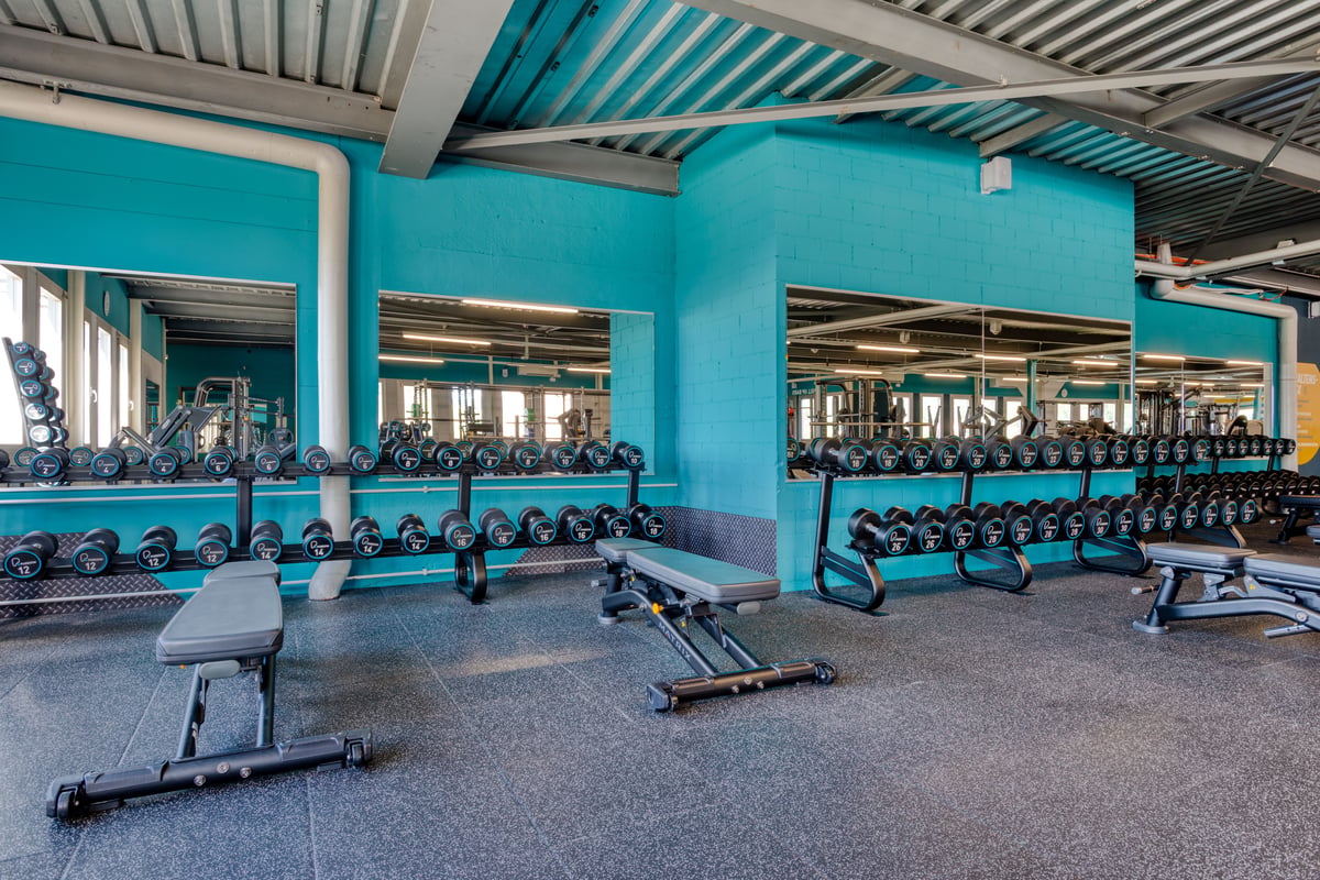 Spreitenbach Free Weights