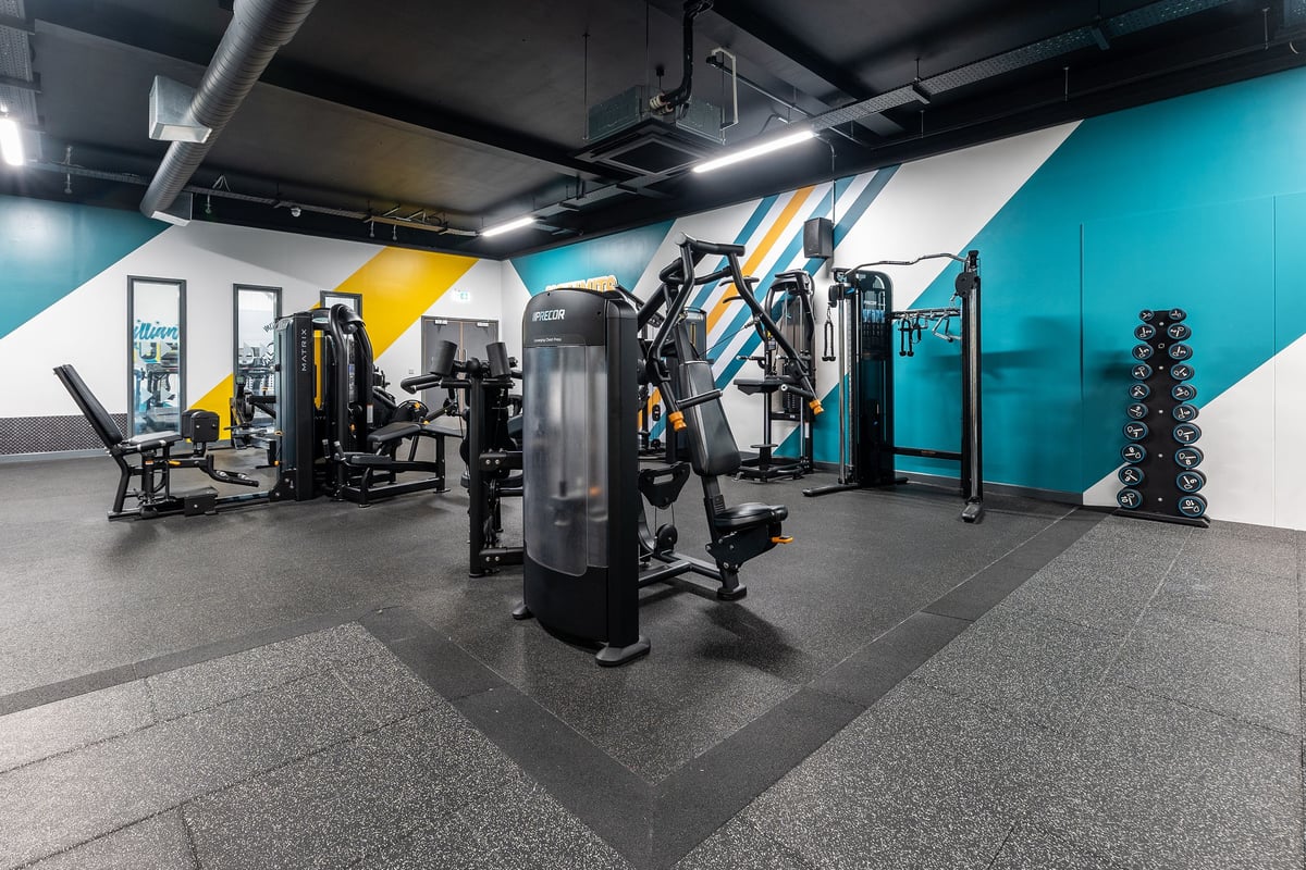 PureGym Leamington Spa: Weight training area with resistance machines, free weights, racks, benches, and rubberized flooring.