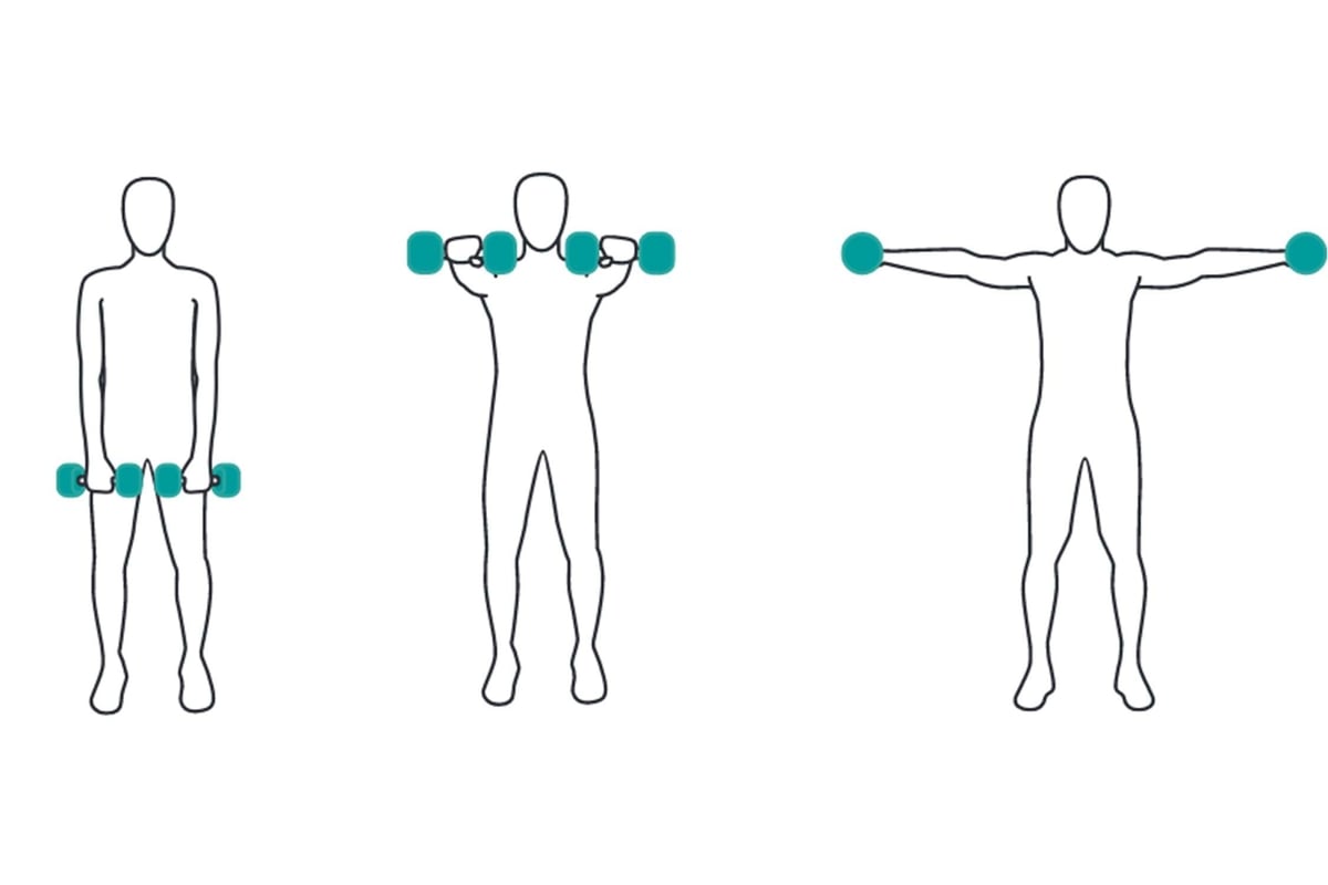 Three figures demonstrating dumbbell exercises: holding by sides, raised to shoulders