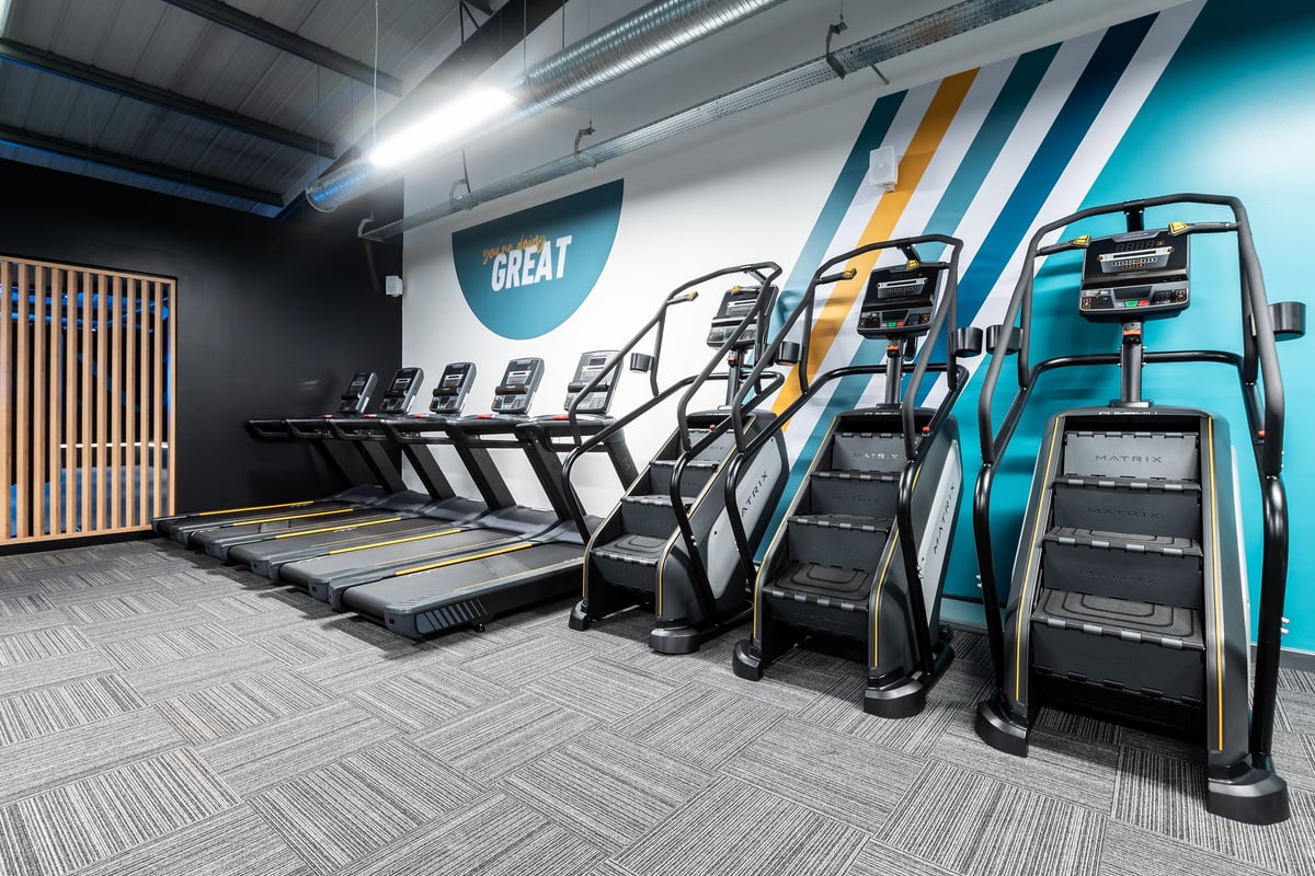 PureGym Letchworth: Rows of treadmills and aerobic steps in a gym studio with striped carpet flooring.