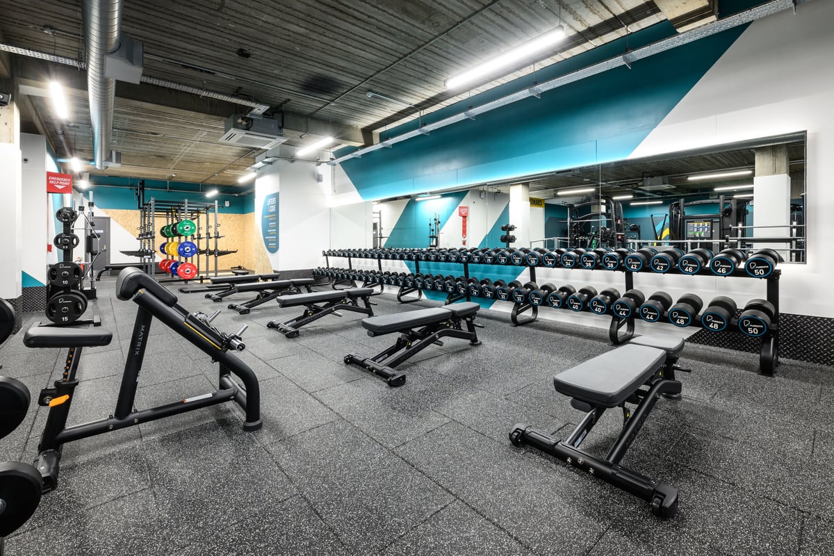 Schlieren Free Weights 
