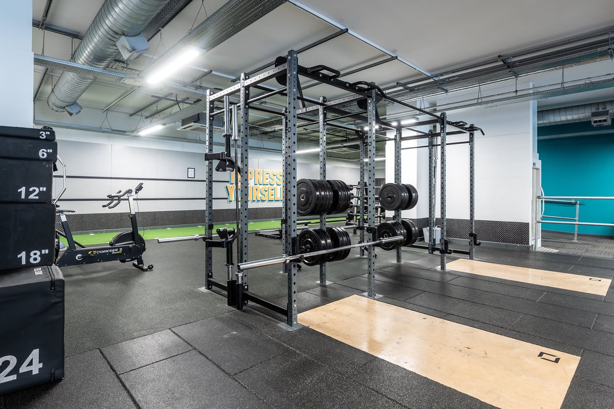 PureGym Stevenage: Rig of upright bars, weight plates, squat platform, rubberized floor tiles.