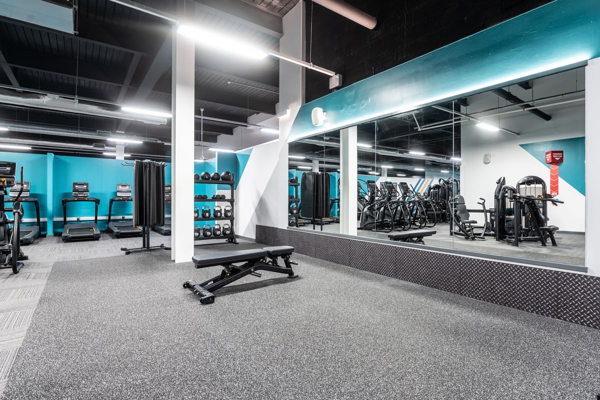 PureGym Bradford Thornbury: free weights and a bench on a rubberised floor in a gym