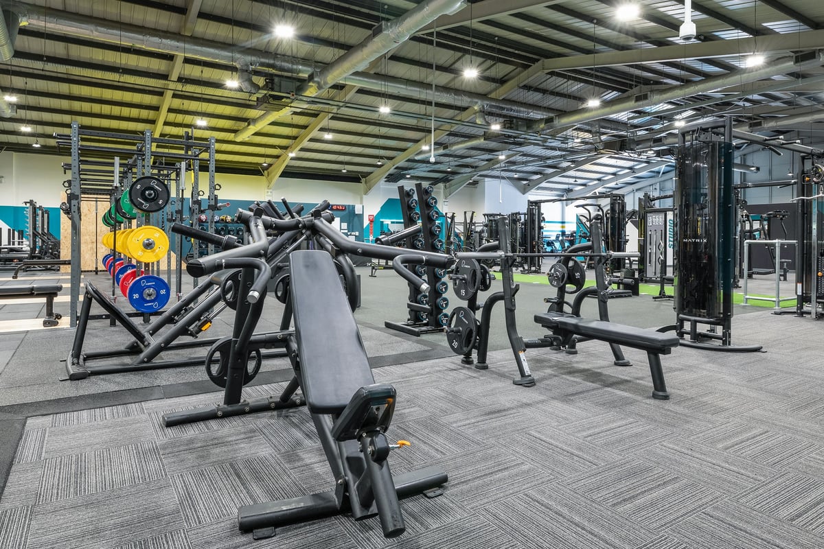 PureGym Leeds Bramley: Strength training area with squat racks, weight benches, barbells, weight plates in various colours.