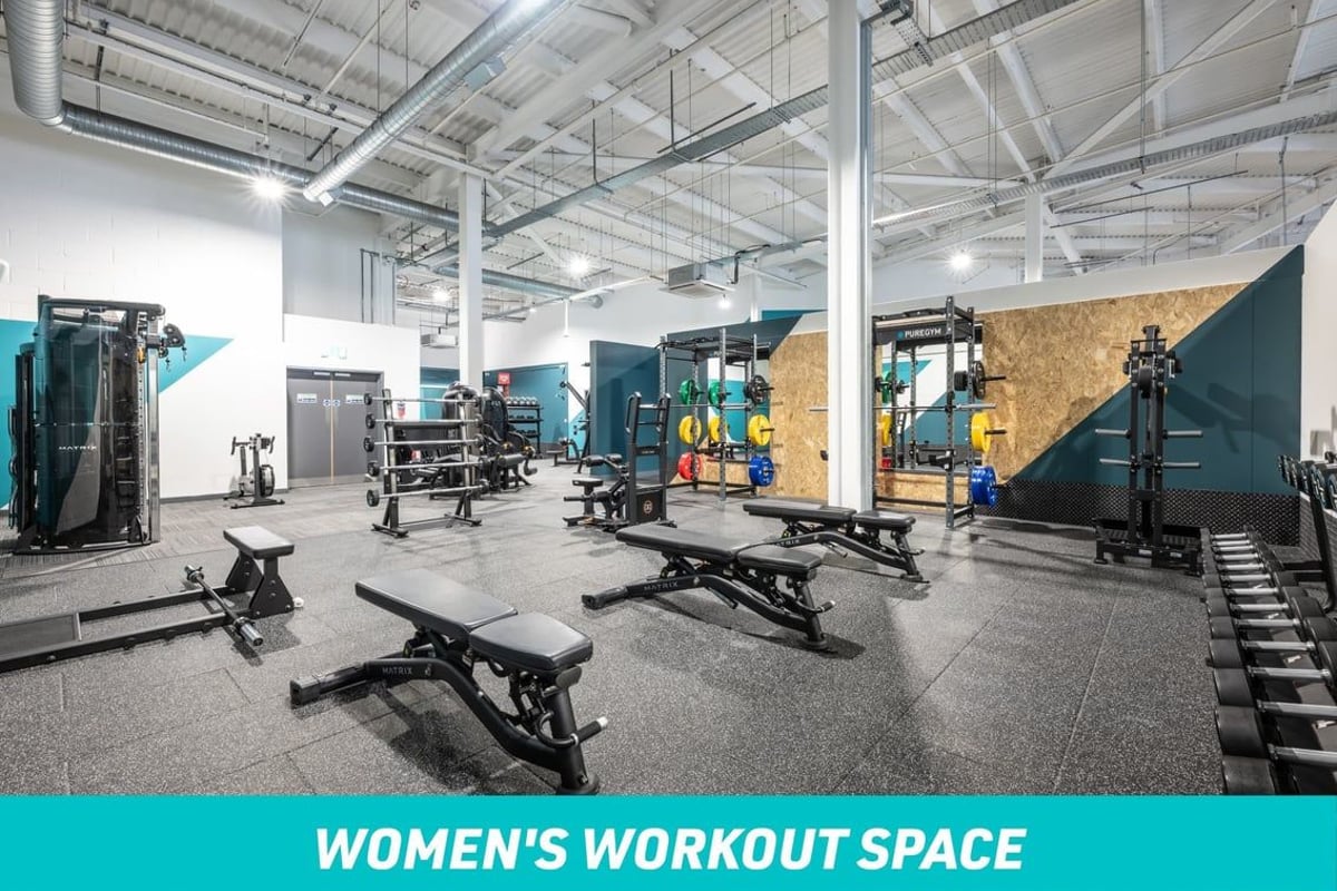 PureGym Nuneaton Women's Workout Space: Dumbbells and benches 