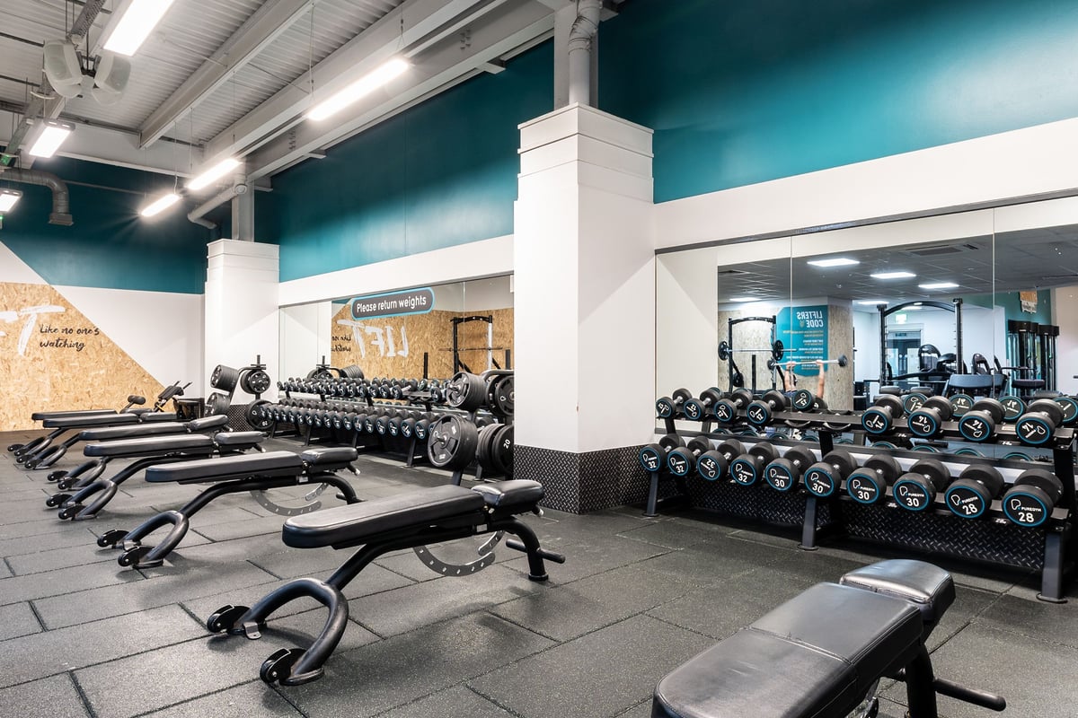 PureGym Cambridge Leisure Park: Rows of weight benches, dumbbells and dumbbell racks in a gym with teal accent walls.