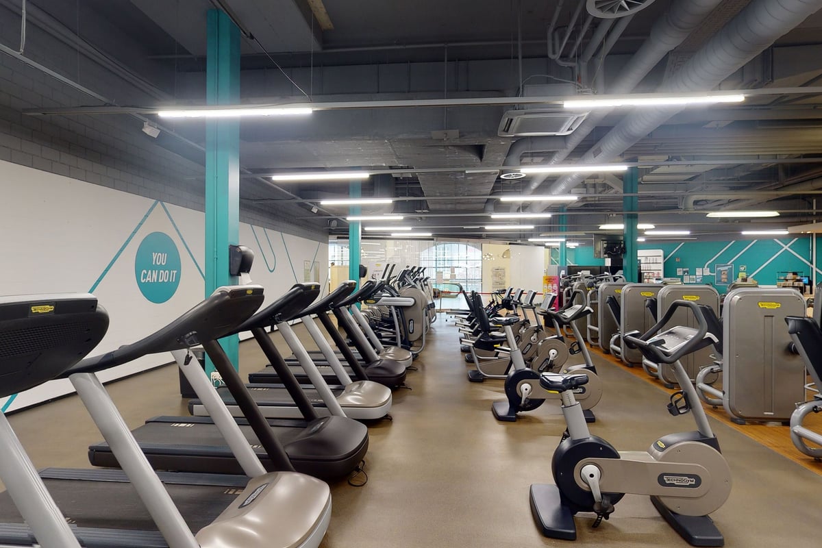 PureGym Winterthur Töss: Des rangées d'appareils de cardio-training et d'appareils d'exercice dans une salle de sport lumineuse aux accents bleu sarcelle.