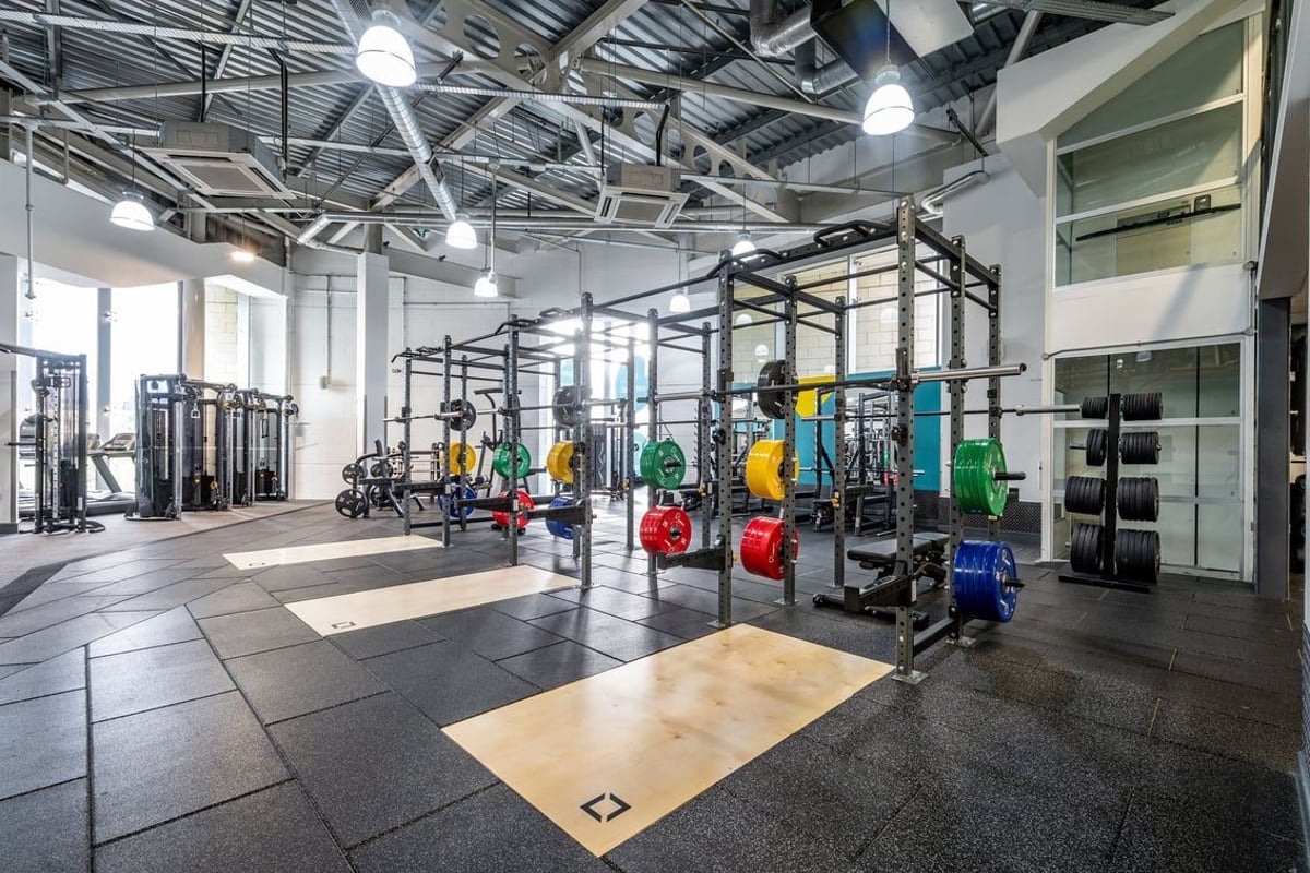 PureGym Birmingham Maypole rig