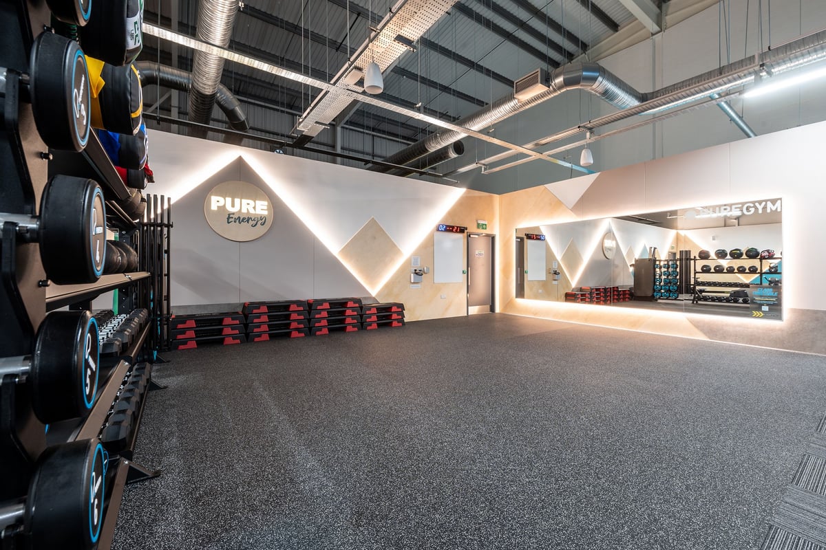 PureGym Harwich: Rows of punching bags, racks with weighted balls, rubberized flooring in a basement gym.