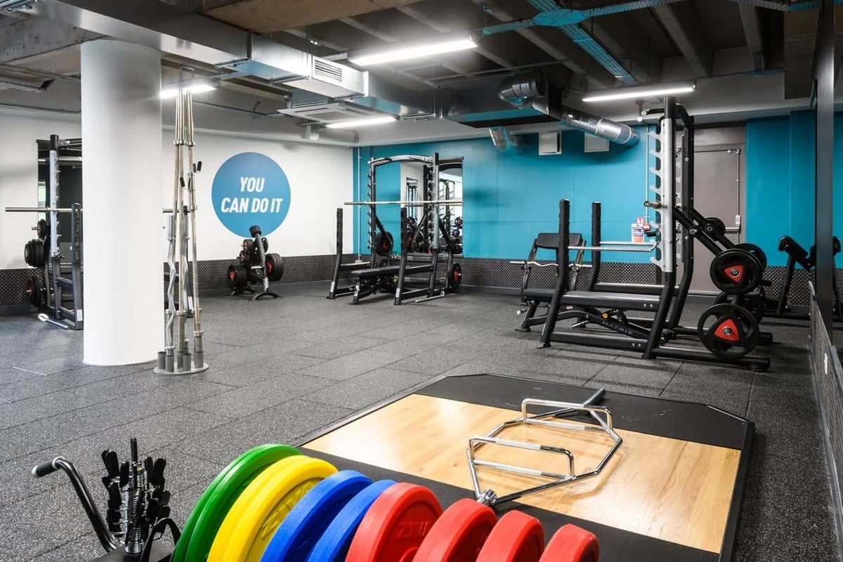 PureGym Birmingham Arcadian Centre: Weight plates, squat racks, benches, rubberized flooring in a blue-themed gym interior.