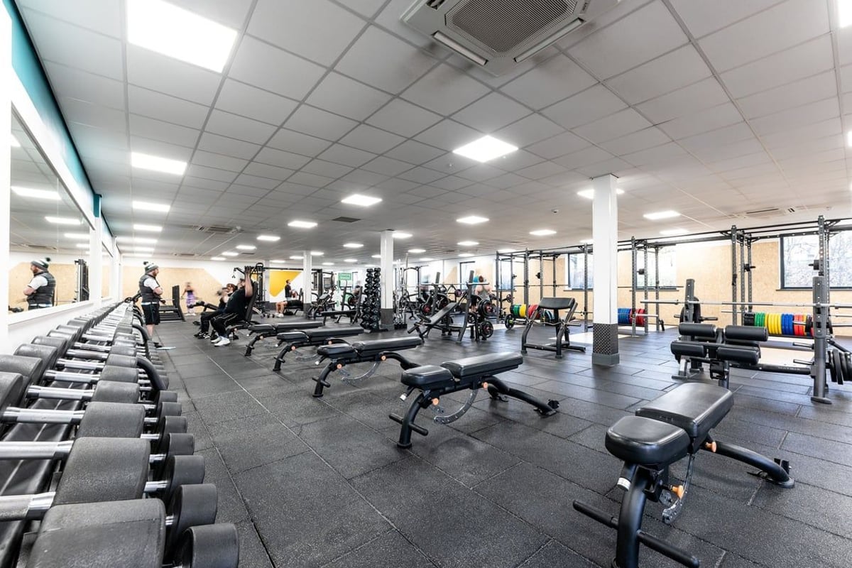 PureGym Livingston: Weight benches, squat racks, free weights, and rubberized flooring in a gym setting.