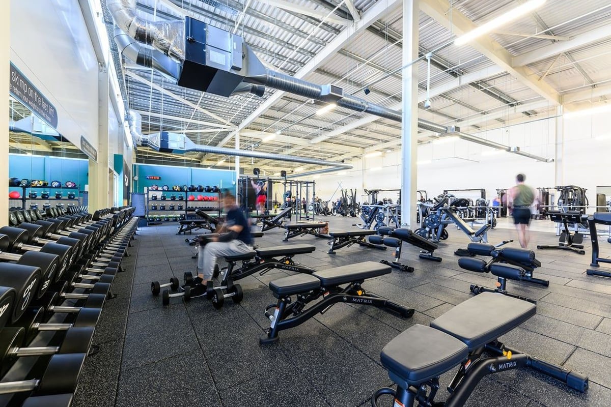 PureGym Wisbech: Weight benches, free weights, resistance machines, and mirrored walls in a well-equipped gym.