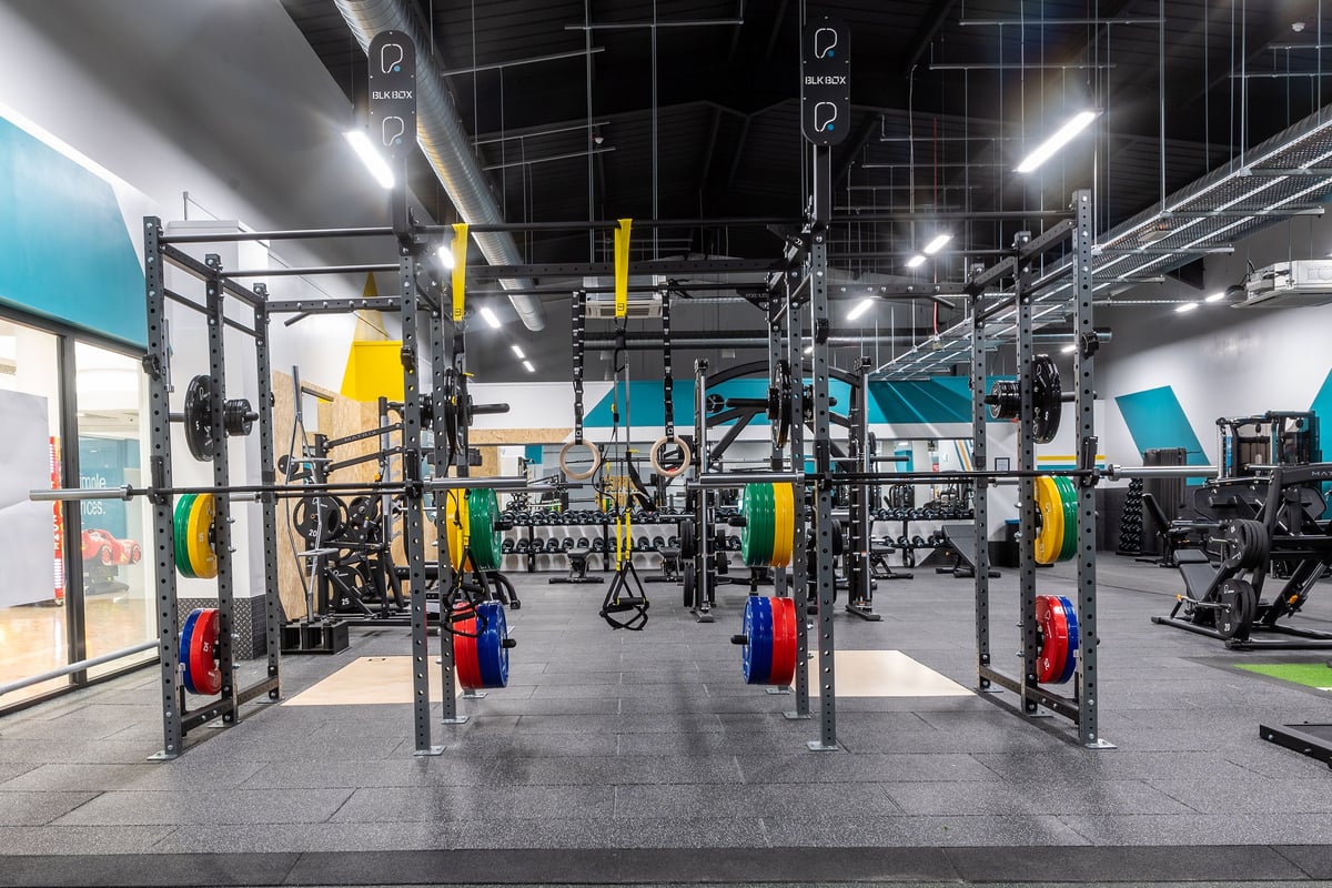 PureGym Dungannon: Rig frames, weight plates, suspension trainers, and rubberized floors in a brightly lit gym studio.