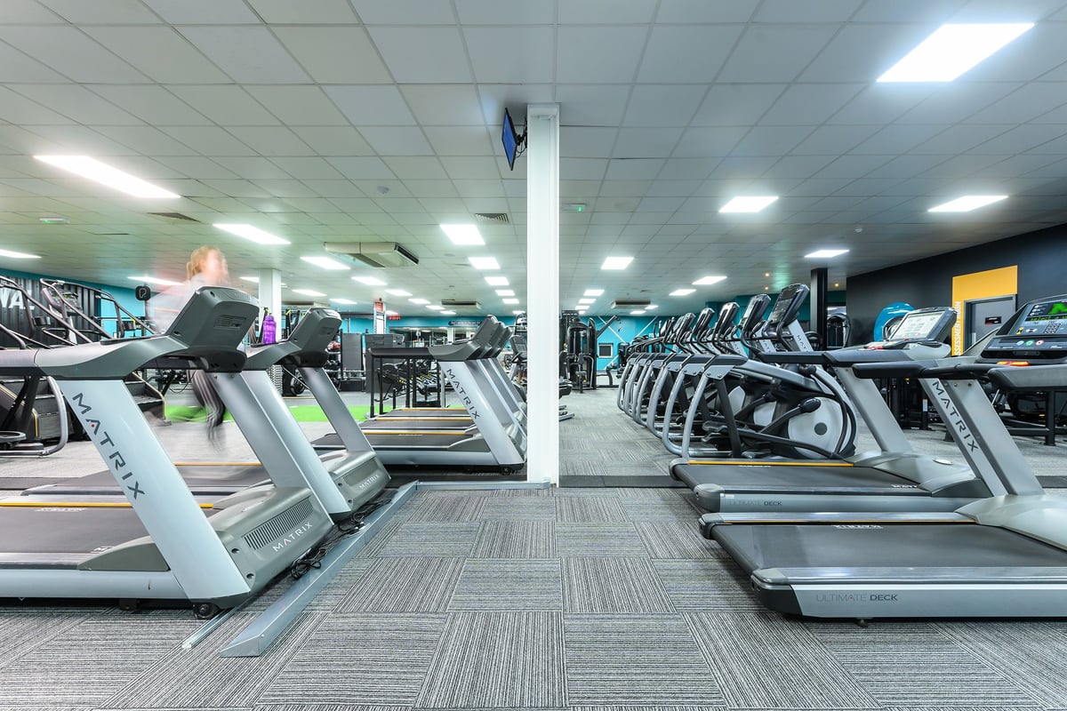 PureGym Waterlooville: Rows of treadmills, stationary bikes, and elliptical machines in a well-lit gym facility.