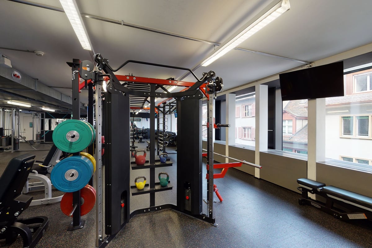 PureGym Basel Clara Huus: Fitnessstudio mit mehreren Stationen mit farbigen Hantelscheiben, Riemenscheibensystemen, gummiertem Boden und Fensterblick.
