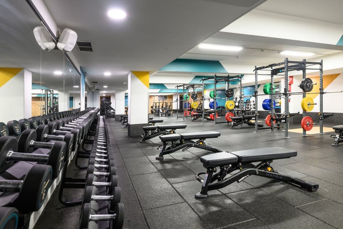 London Finchley Free Weights