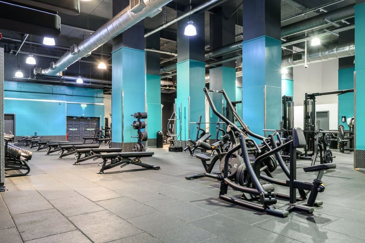 Birmingham City Free Weights