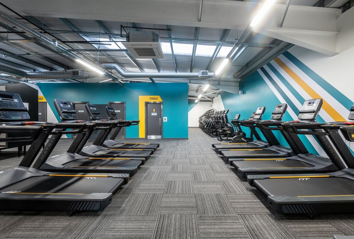 PureGym Derby Kingsway Retail Park: Rows of treadmills, vibrant colour scheme, exposed ceilings in a gym's cardio area.