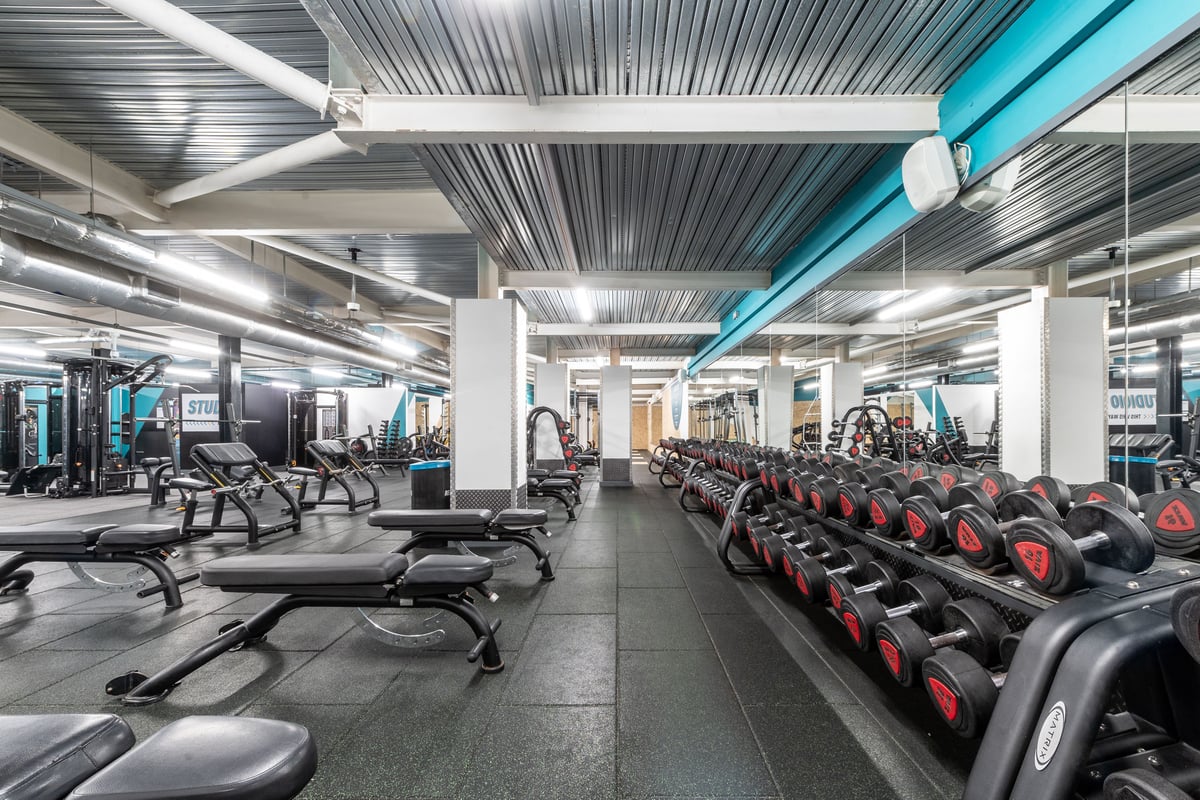 PureGym Harrogate: Rows of weight benches and dumbbells in a modern gym interior with tubing ceiling.