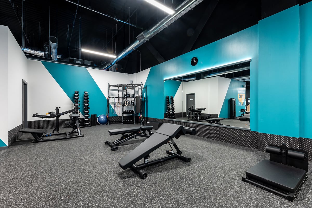 PureGym Hatfield: Weight benches, dumbbell racks, exercise balls, and teal walls in a gym studio.