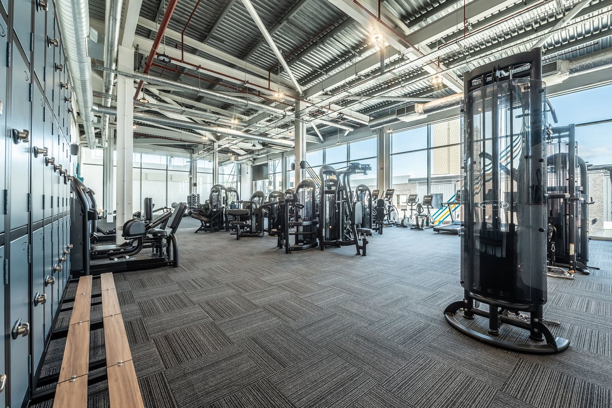 PureGym Newport Wales: Resistance machines, cable crossover stations, free weights, benches, and industrial interior design.