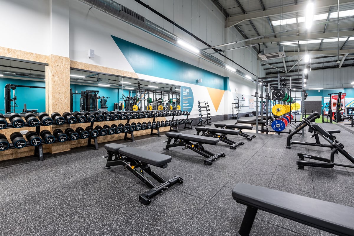 PureGym Newhaven: Rows of benches, dumbbells, weight racks, and strength equipment in a modern gym setting.