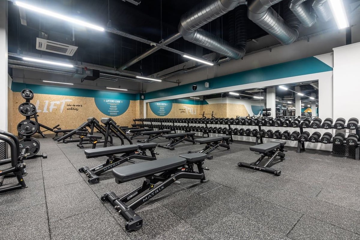 PureGym Edinburgh Ocean Terminal: Rows of rowing machines, weight benches, and free weights on rubberized flooring.