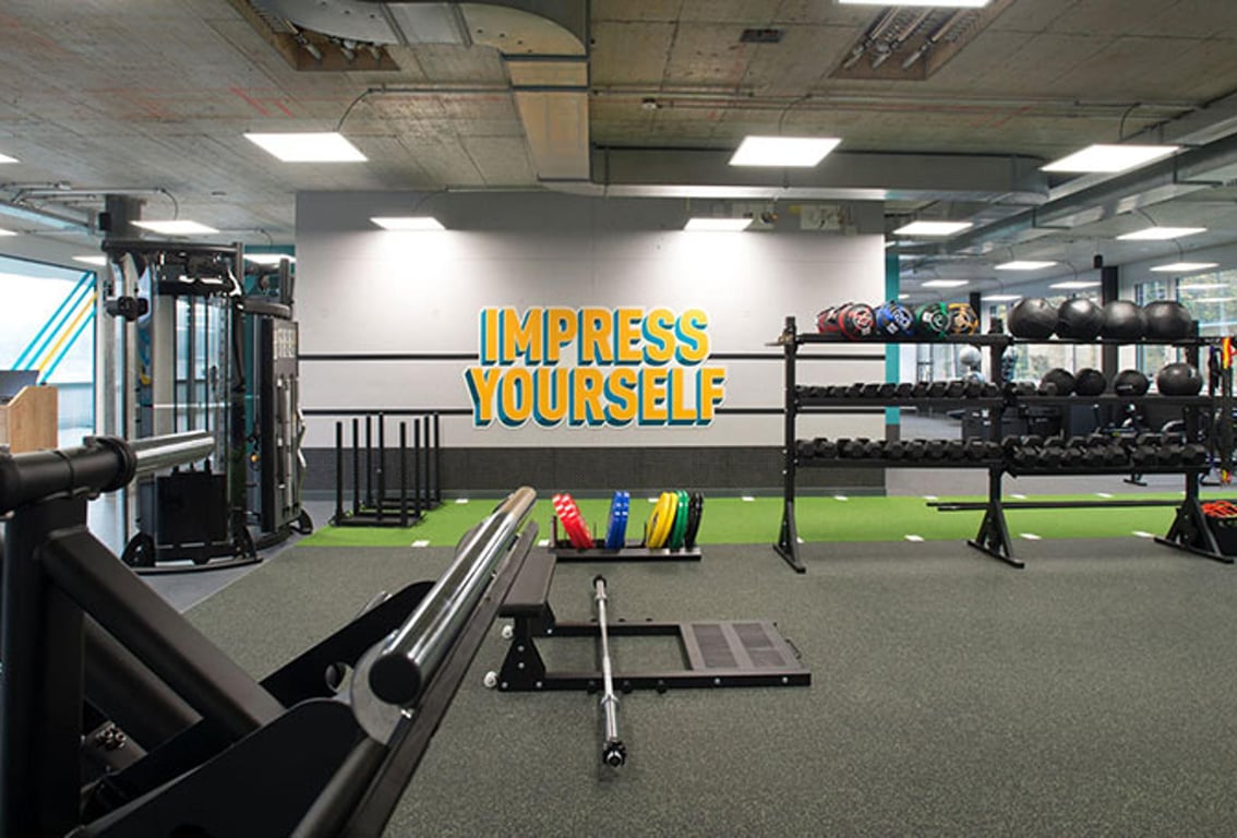 Puregym Adliswil: Area per l'allenamento della forza con rastrelliere per squat, piastre per pesi, panche e pavimento in erba gommata.