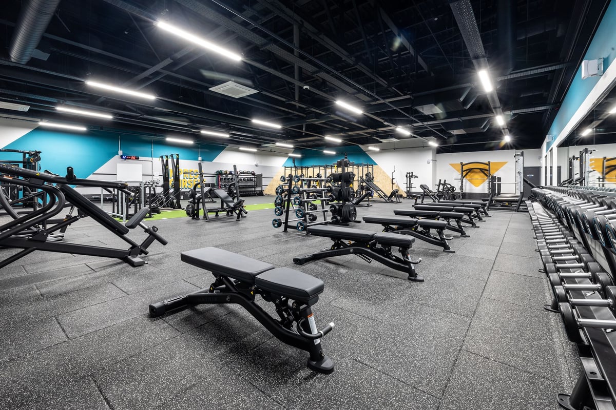 PureGym Hartlepool: Weight benches, squat racks, dumbbells, and weight plates arranged on rubberized gym flooring.