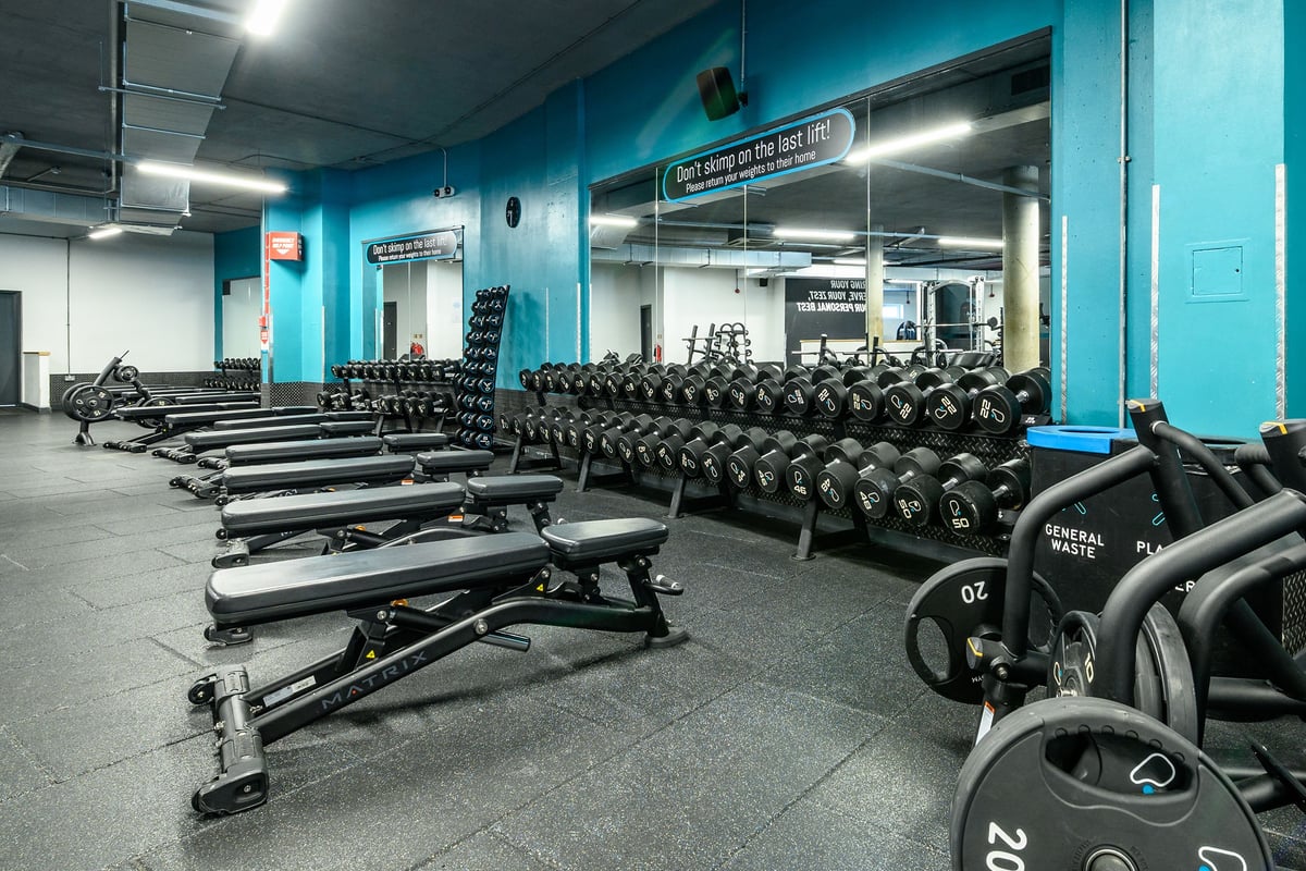 PureGym London Greenwich: Rows of weight benches, dumbbell racks, and free weights in a teal-colored weight room.