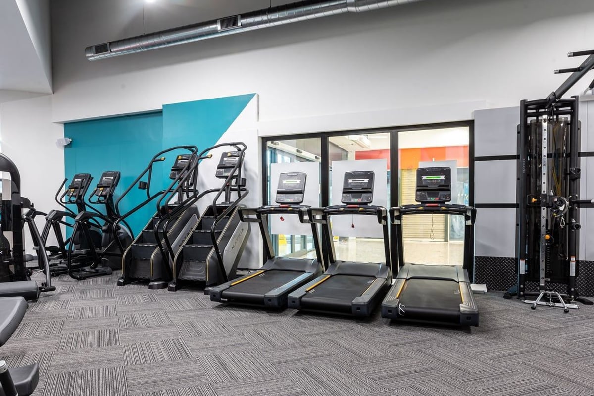 PureGym Dungannon: Rows of treadmills, accent wall in teal, framed mirrors along far wall.