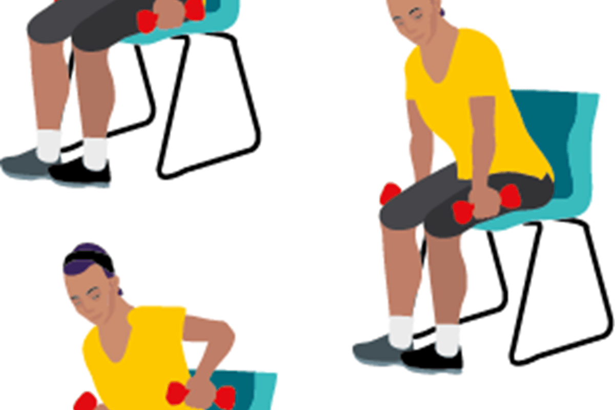 Rows - seated exercises for seniors